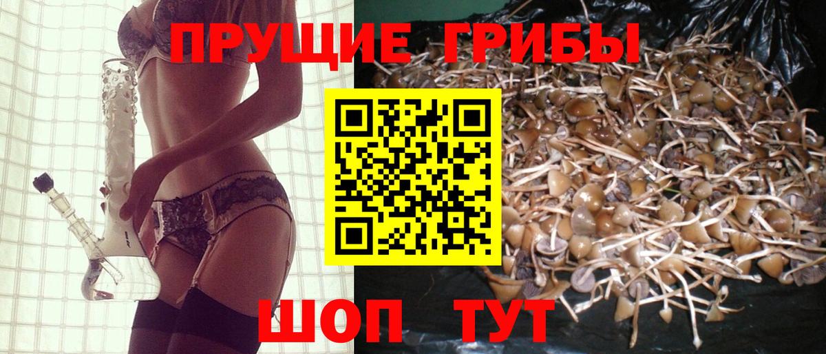 Галлюциногенные грибы прущие грибы Мелеуз