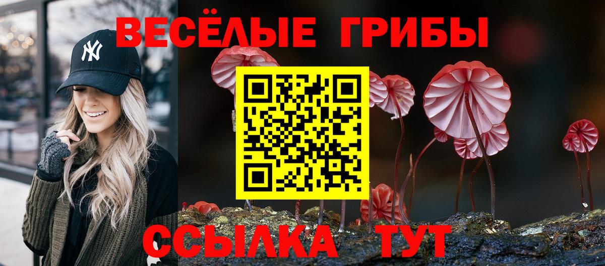 Псилоцибиновые грибы ЛСД  Вход с VPN  Галлюциногенные грибы мухоморы  Мелеуз 